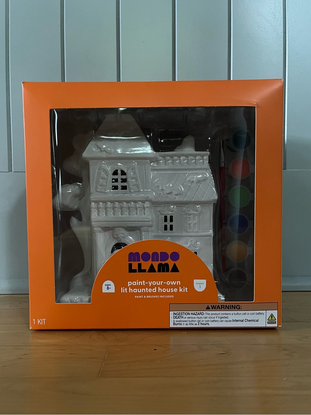 🎃 Paint-Your-Own Lit Haunted House Kit